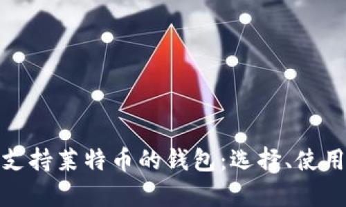 全面解析支持莱特币的钱包：选择、使用与安全性