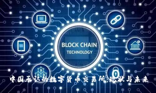 中国承认的数字货币交易所：现状与未来