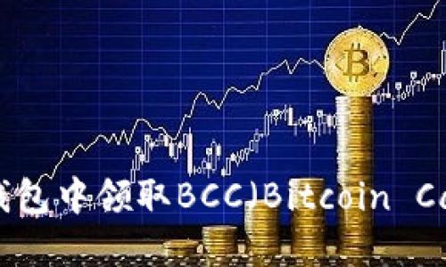 如何在Core钱包中领取BCC（Bitcoin Cash）步骤详解