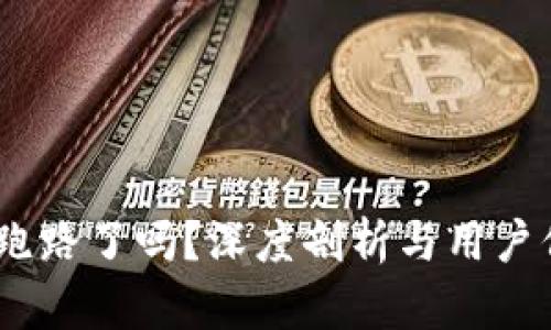  GoPay跑路了吗？深度剖析与用户保护指南